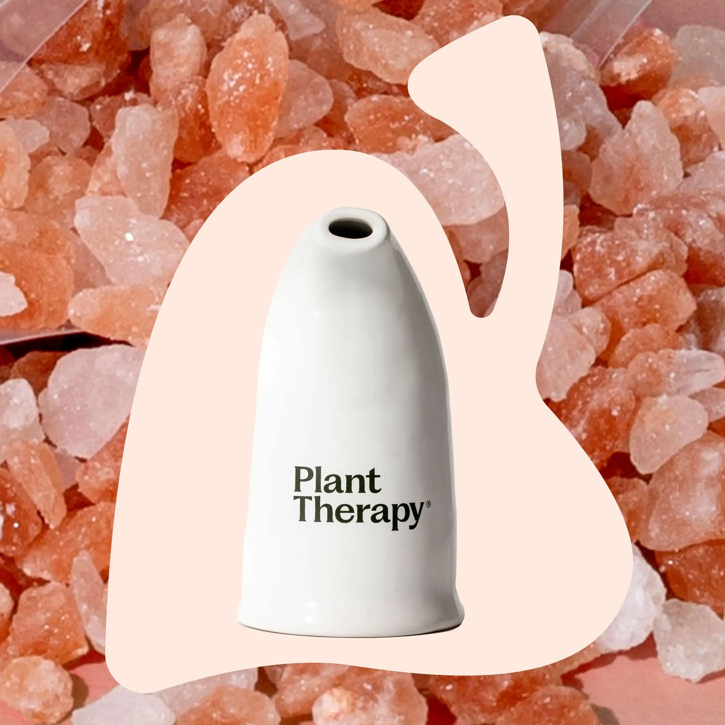 Plant Therapy - Himalayan Salt Inhaler with Pink Salt for Easy Breathing