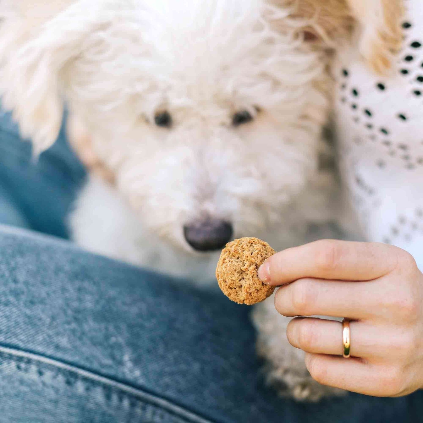 Neurogan CBD - CBD Dog Treats