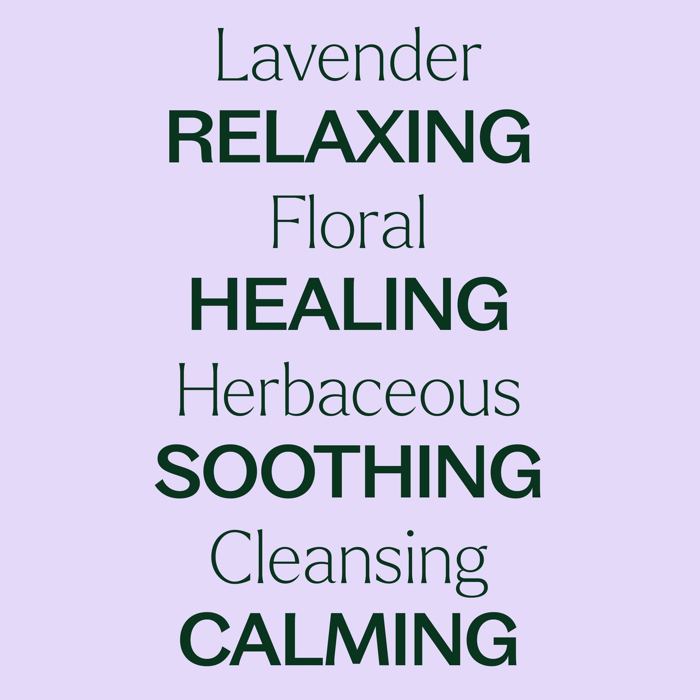 Plant Therapy - Organic Lavender Essential Oil 100mL