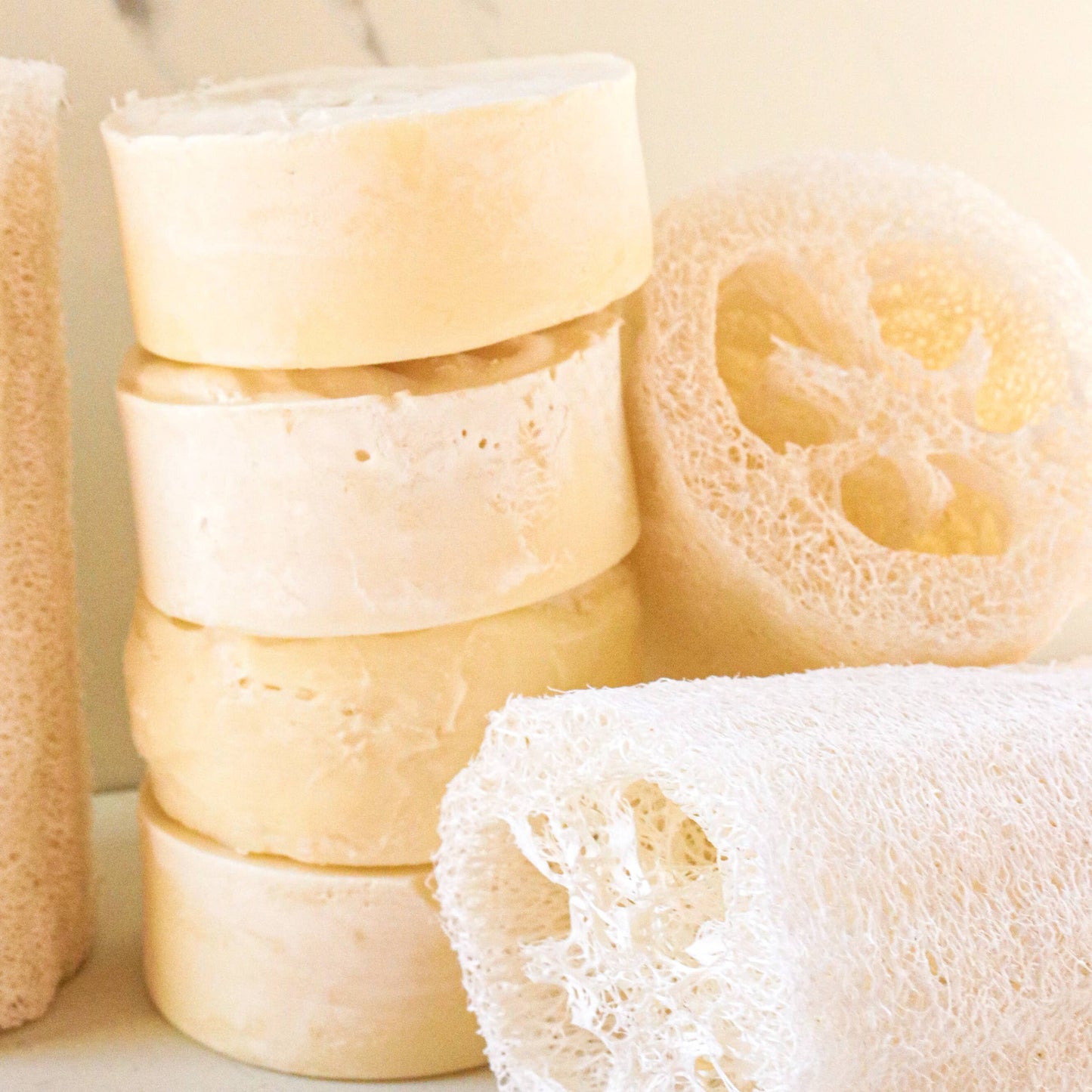 Dandelion Naturals - Exfoliating Tallow Bar Soap with Loofah | Citrus + Mint