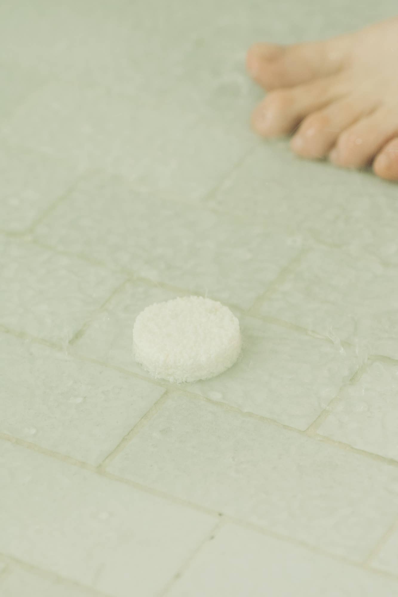 No Tox Life - EUCALYPTUS STEAM® Cleansing Vapors for the Shower® GRANDE