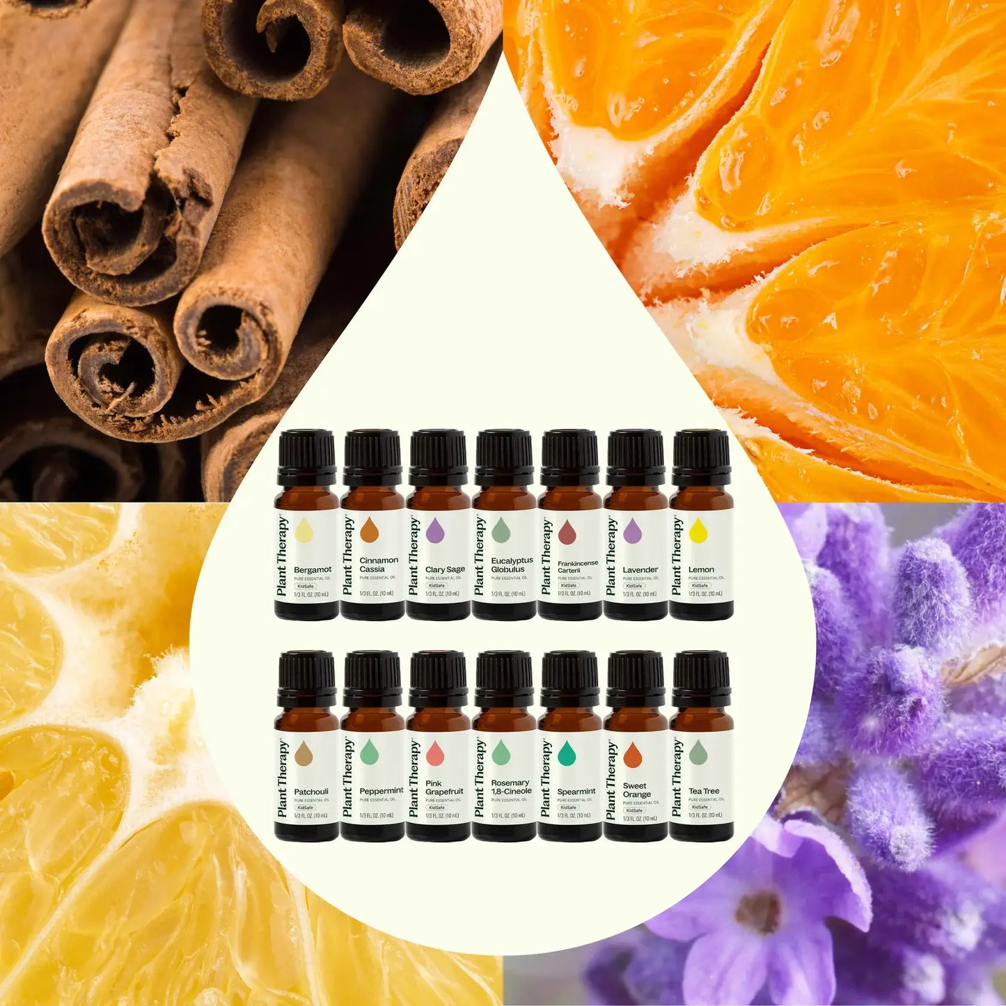 Plant Therapy - Top 14 Essential Oil Singles Set