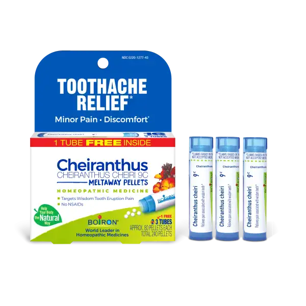 Cheiranthus Cheiri 9C Multi-Pack