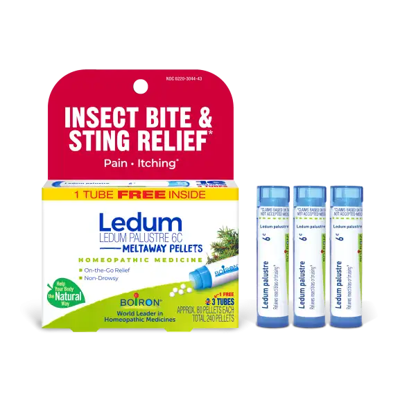 Ledum Palustre 6C Multi-Pack