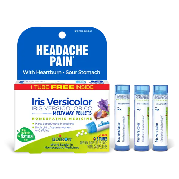 Iris Versicolor 6C Multi-Pack