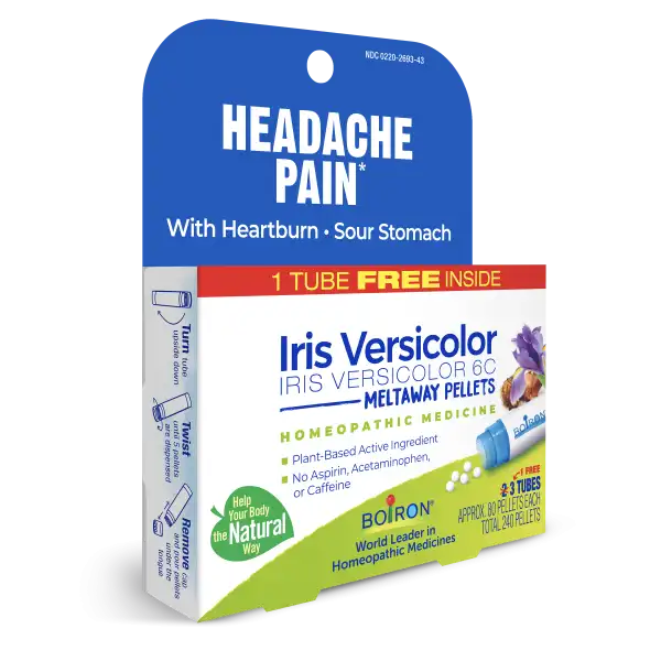Iris Versicolor 6C Multi-Pack