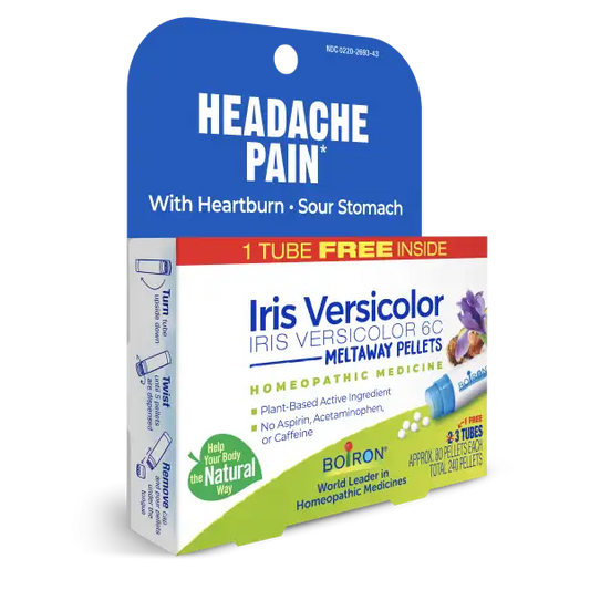 Iris Versicolor 6C Multi-Pack