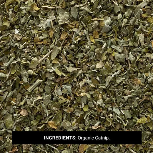 Frontier Co-op Catnip Herb, Cut & Sifted, Organic