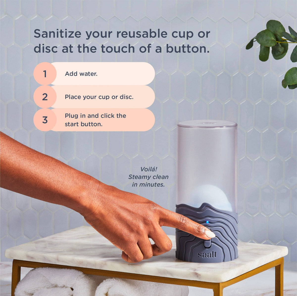Saalt - Saalt Steamer