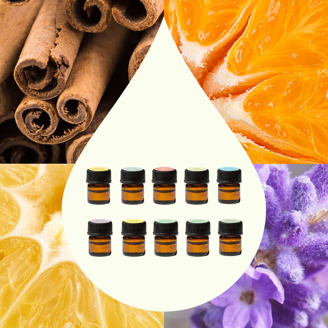 Plant Therapy - Aroma Flight Essential Oil 10 Count Set