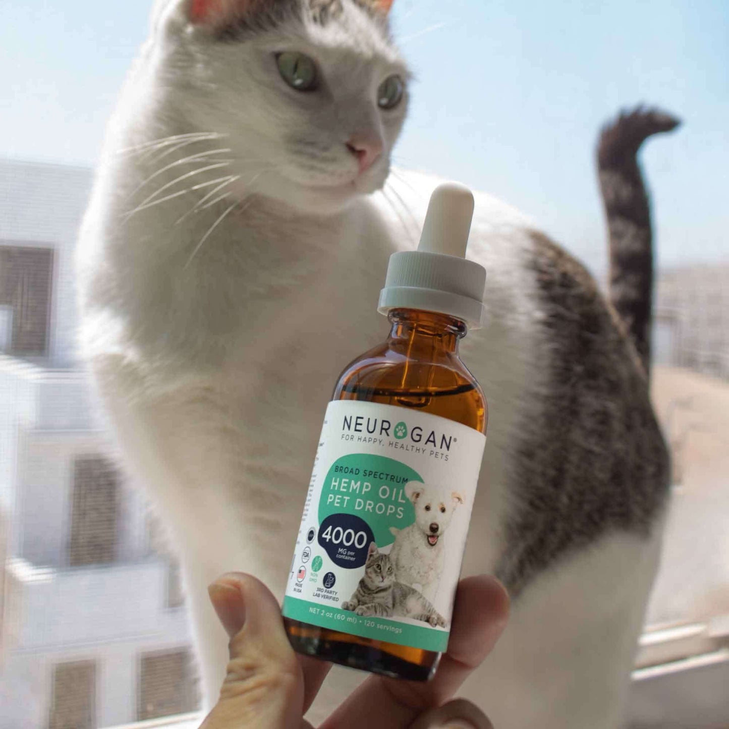 Neurogan CBD - CBD Pet Oil 4000MG