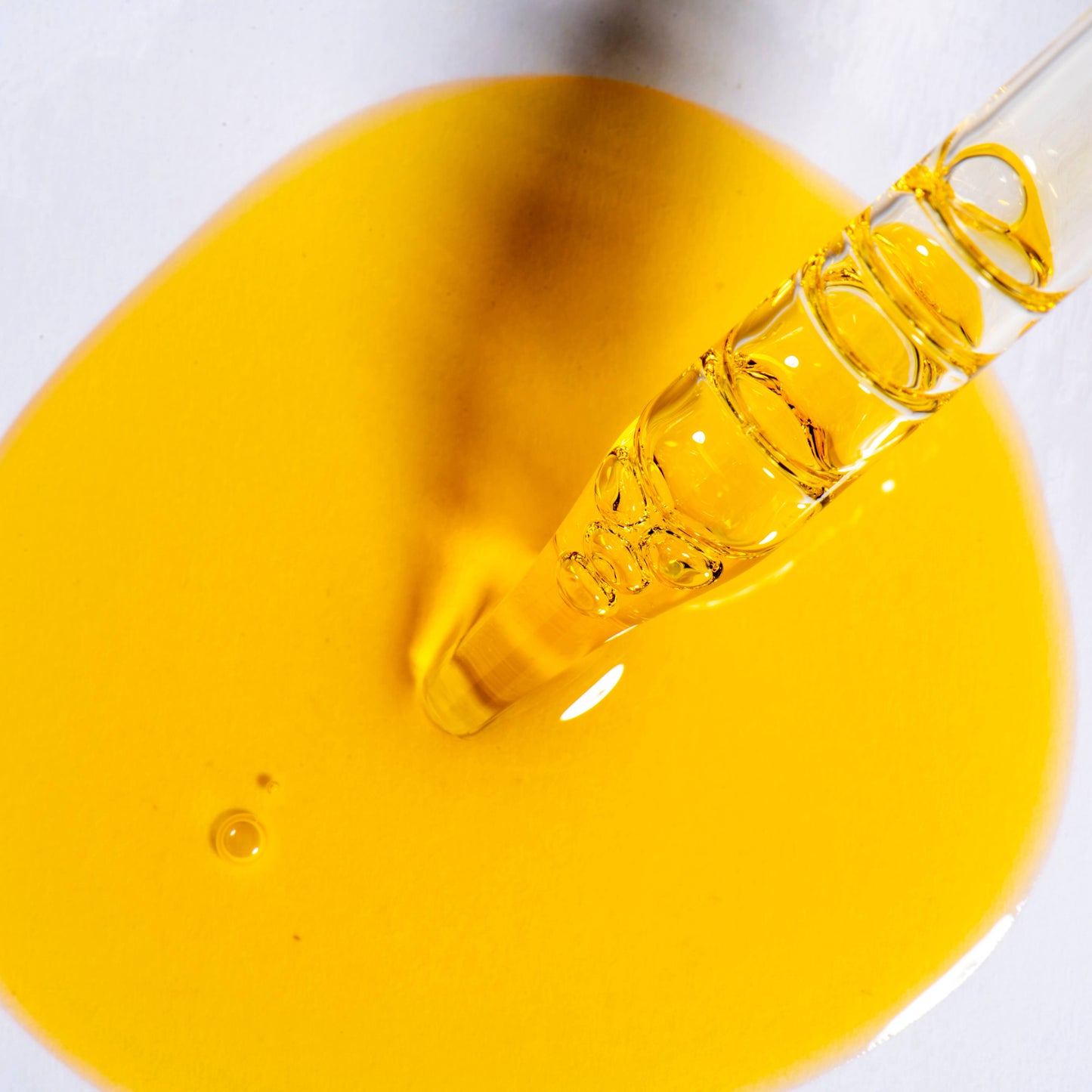 Little Seed Farm - Antioxidant Serum