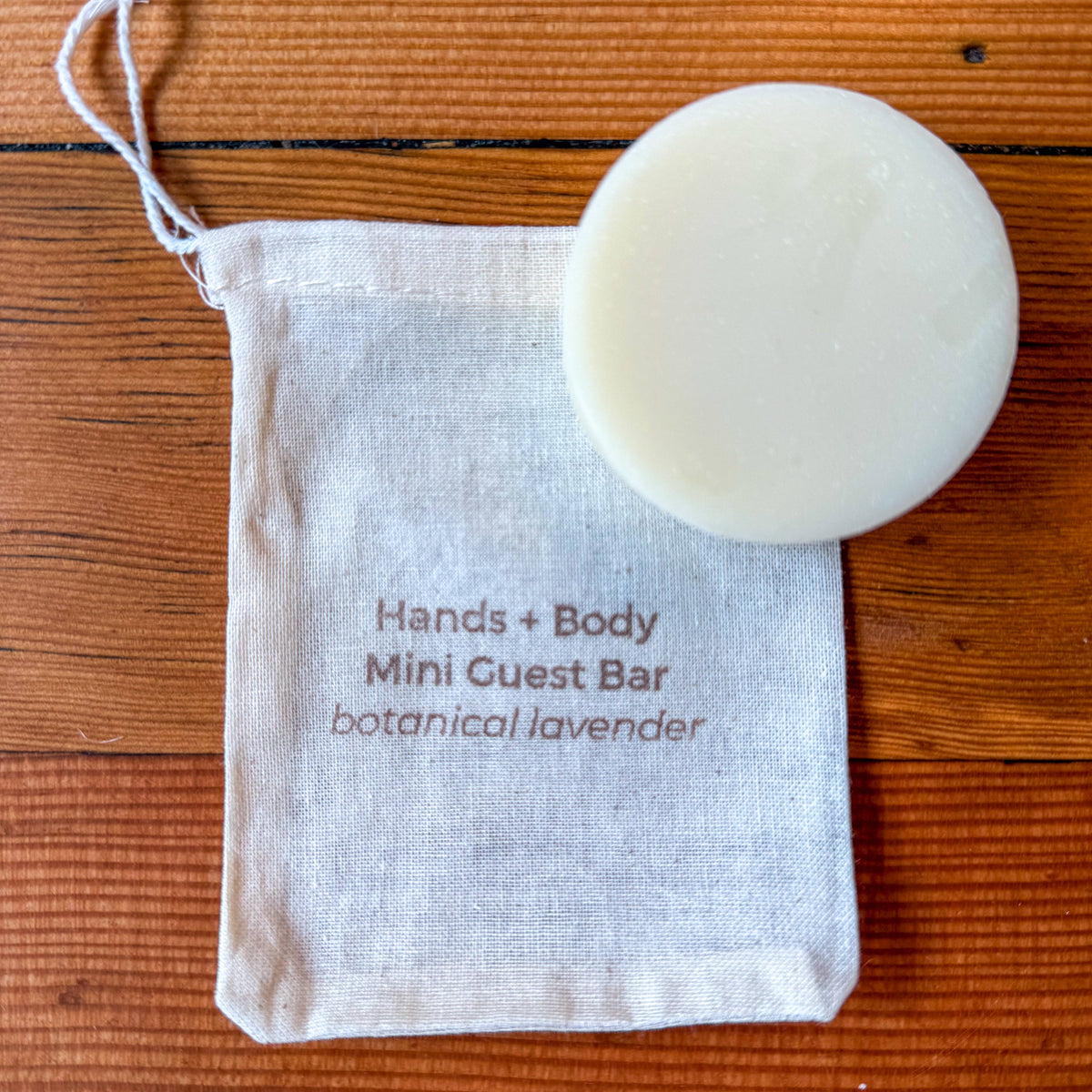 Dandelion Naturals - Hands + Body Mini Guest Bar Soap – botanical lavender