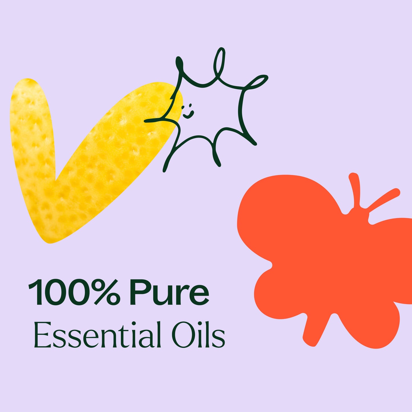 Plant Therapy - Top 6 Essential Oil Blends Set