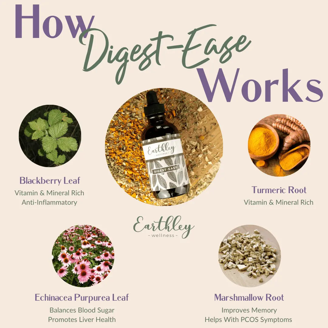 Gut Health Bundle