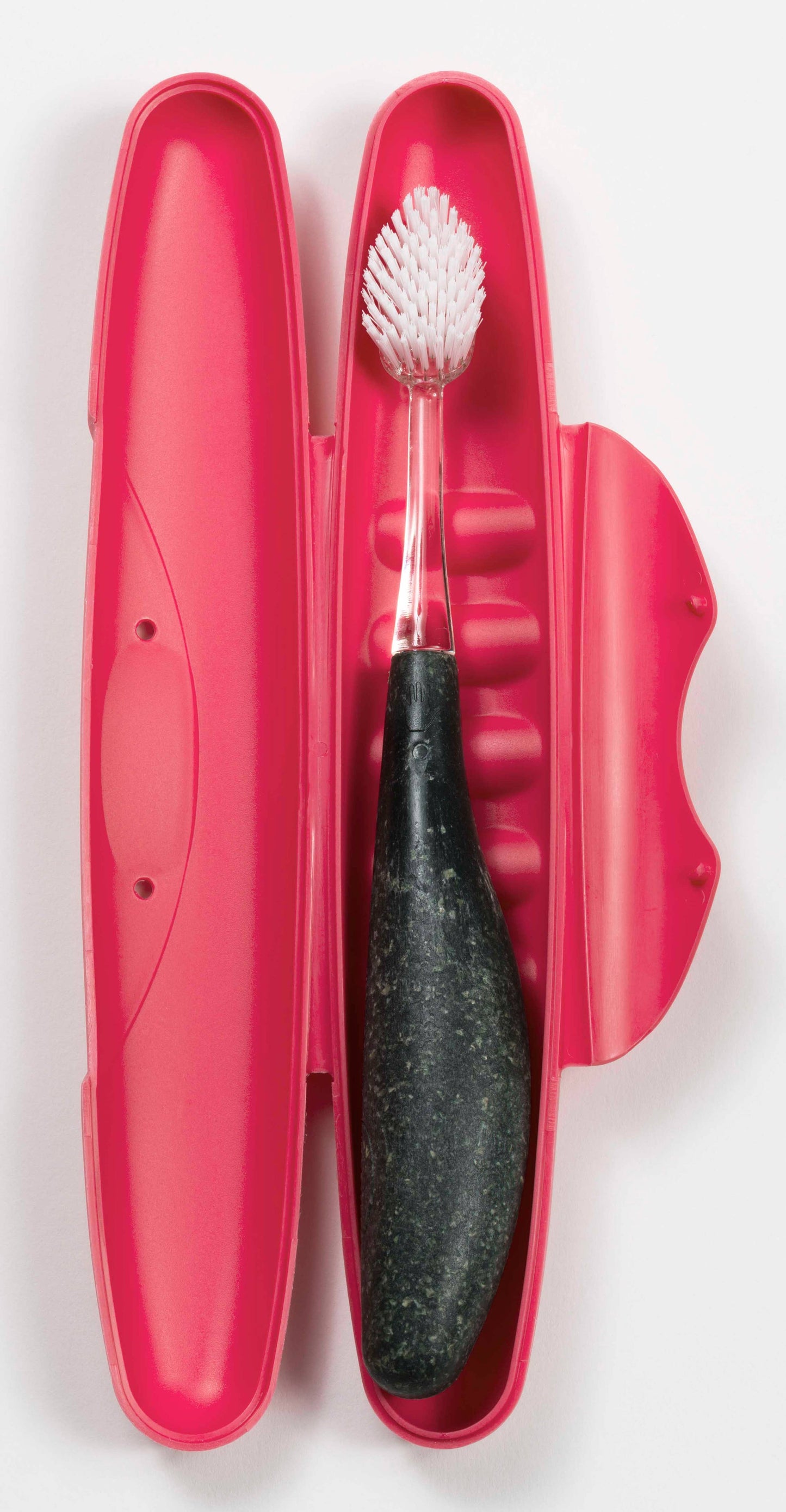 RADIUS - Standard Toothbrush Travel Case