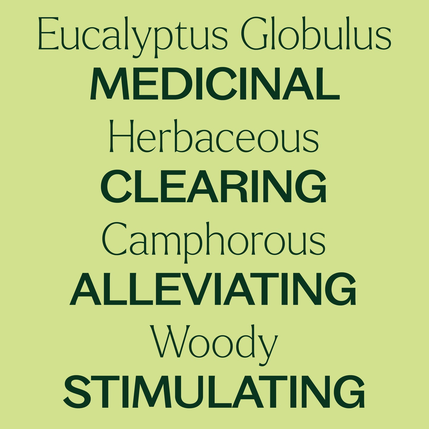 Plant Therapy - Eucalyptus Globulus Essential Oil 100 mL