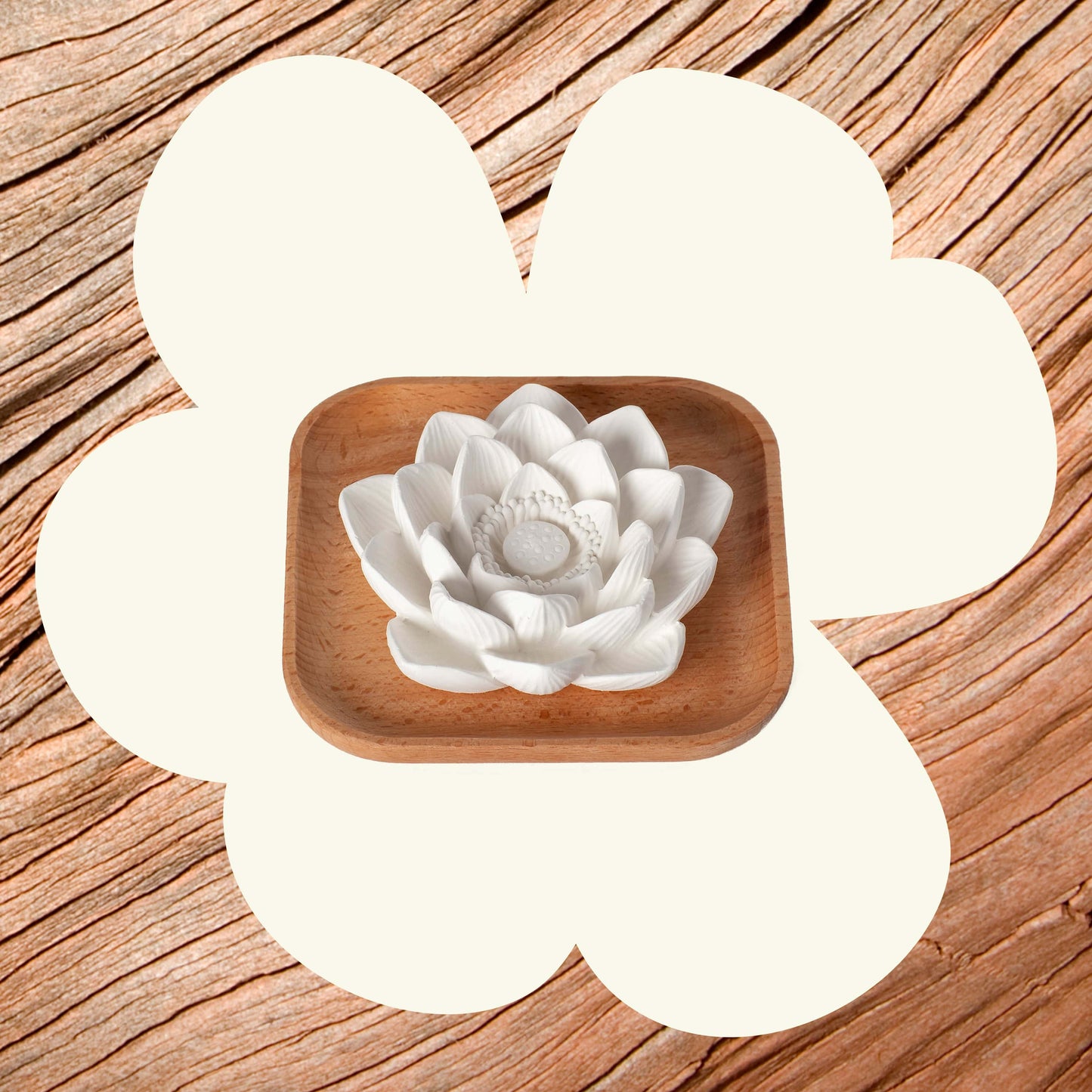Plant Therapy - Lotus Passive Essential Oil Diffuser