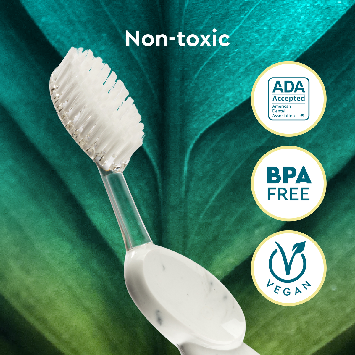 RADIUS - Big Brush with Replacement Head Toothbrush, LEFT Hand