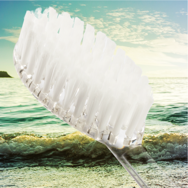RADIUS - Big Brush Replacement Head 2pk