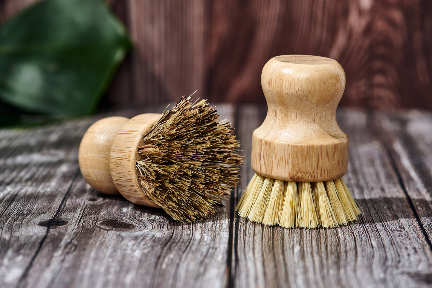 Desesh - Bamboo Handle-less Dish Scrubbing Brush (Plastic Free)