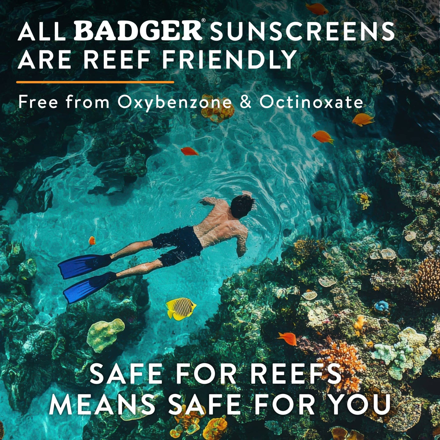 Badger - Badger Mineral Daily Sunscreen SPF 50, with Zinc Oxide