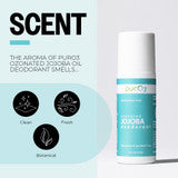 Roll-On Deodorant – Jojoba Unscented