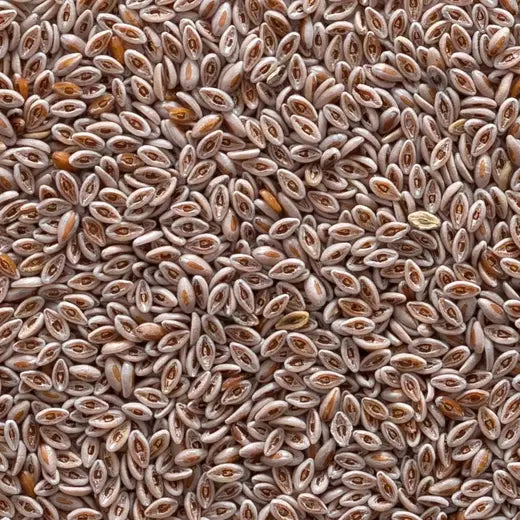 Frontier Co-op Psyllium Seed, Whole, Organic