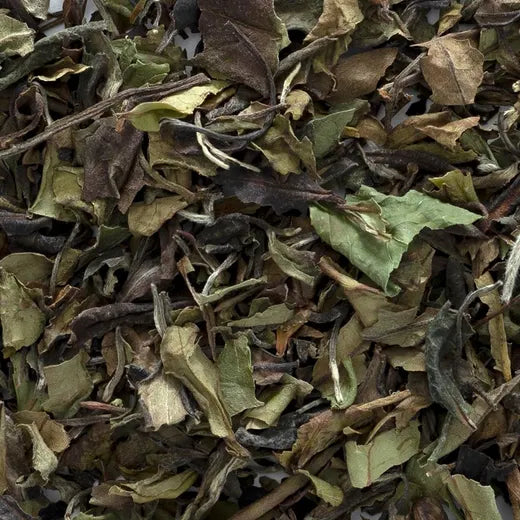 Frontier Co-op White Peony Tea, Organic
